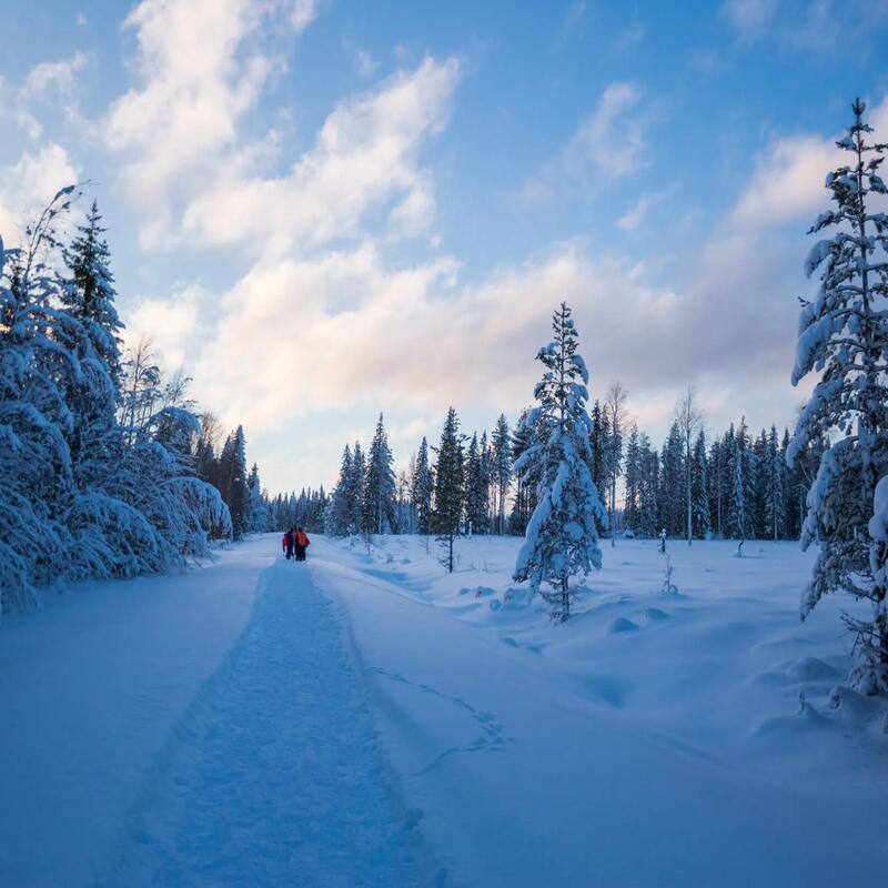 Où voyager en janvier ? Notre sélection de treks
