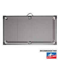 Billiards Table BT 100 US