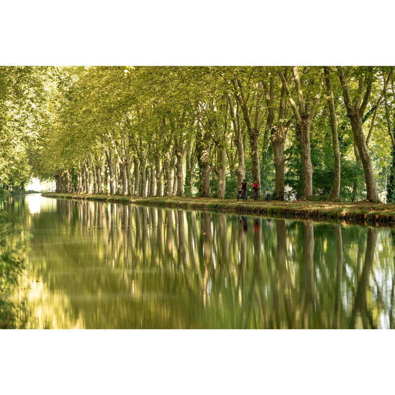 single chainring hybrid bike