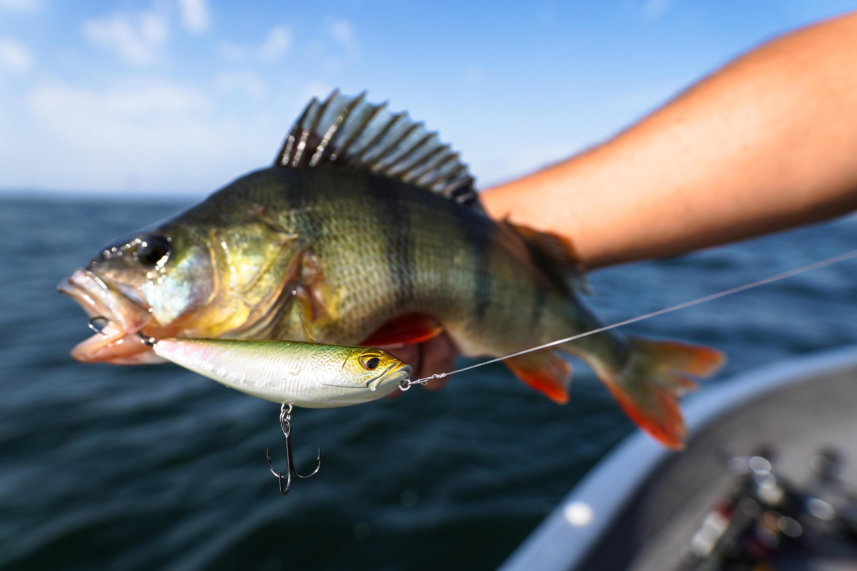 POISSON NAGEUR STICKBAIT WXM STK 130 F DOS VERT 5/7