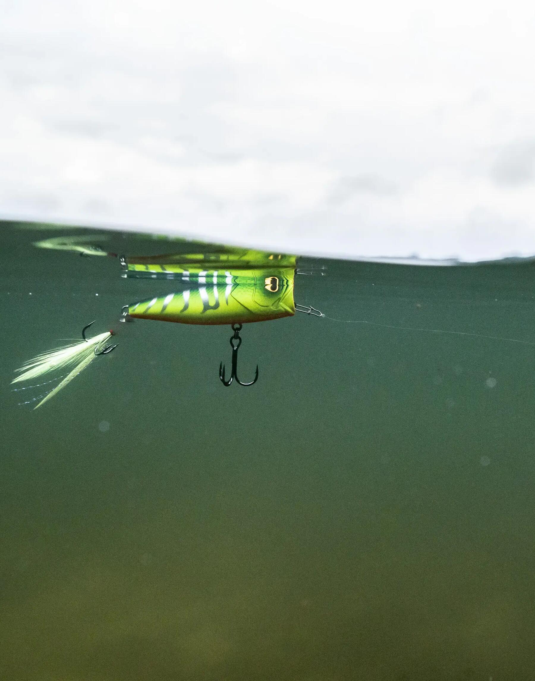 COMMENT UTILISER SON POISSON NAGEUR STICKBAIT ?