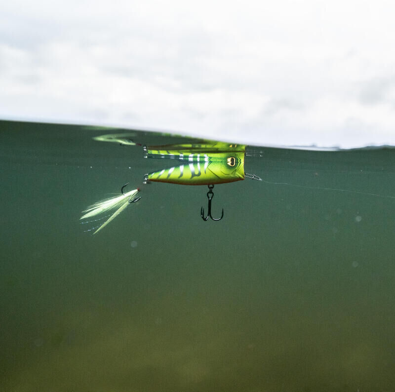 COMMENT UTILISER SON POISSON NAGEUR STICKBAIT ?