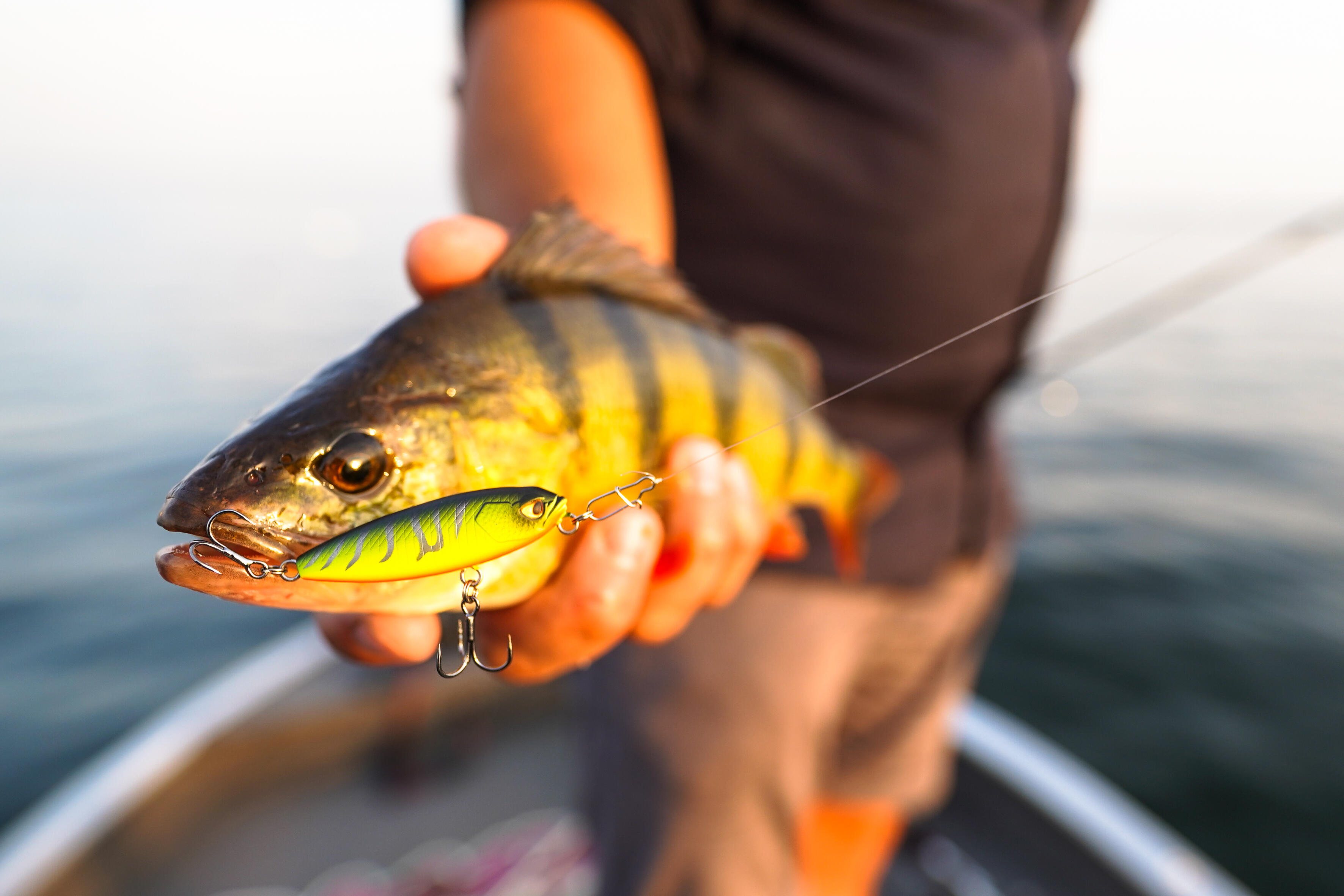 POISSON NAGEUR STICKBAIT PÊCHE AUX LEURRES STK 45 F FIRETIGER - CAPERLAN