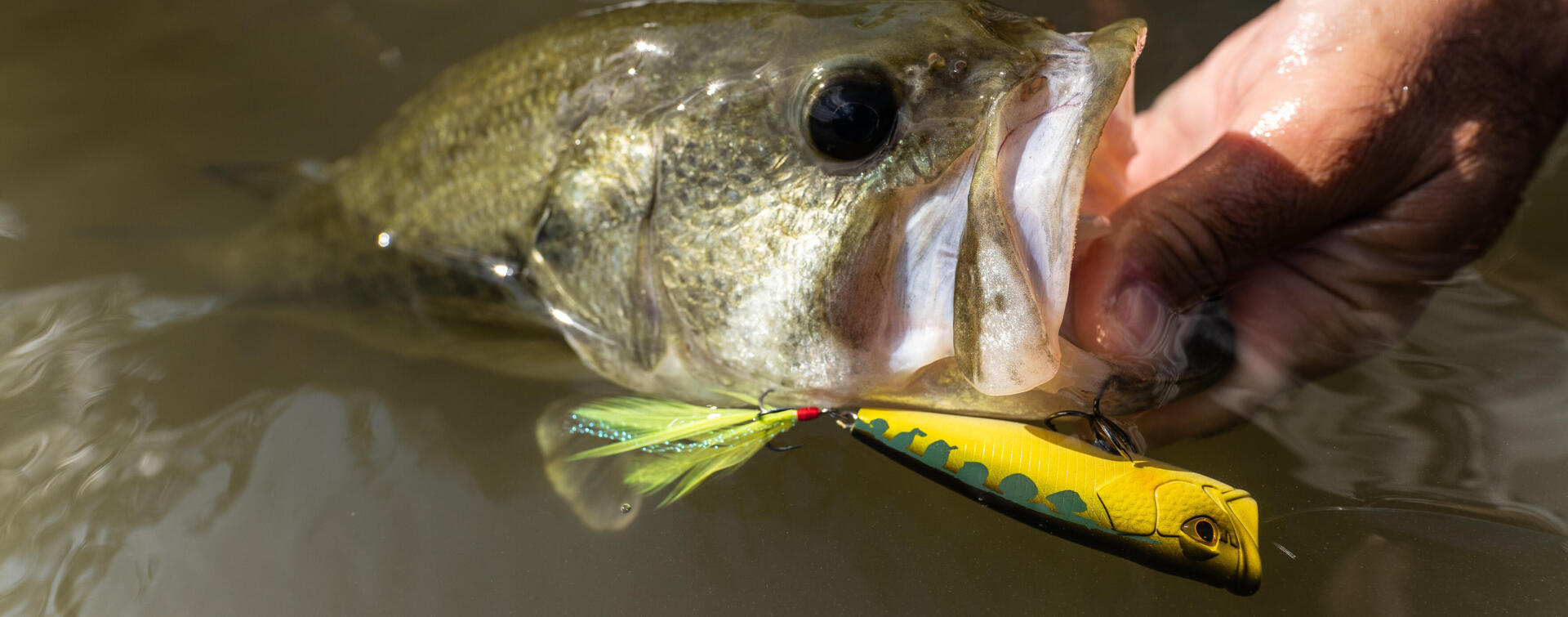 Pêche au leurre en mer : bien animer son stickbait 