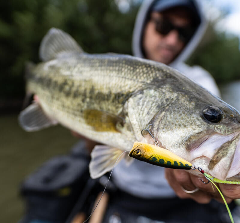 COMMENT UTILISER SON POISSON NAGEUR STICKBAIT ?