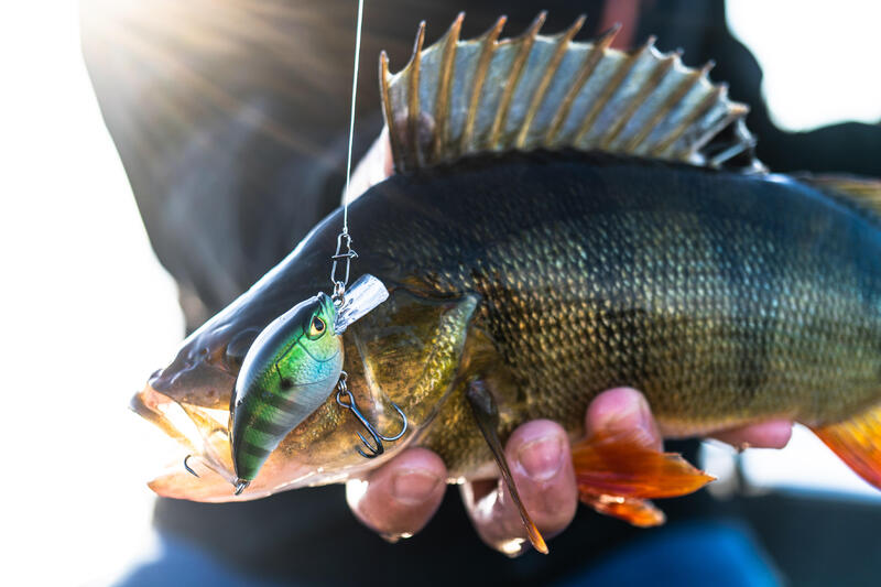 CUM SĂ UTILIZAȚI NĂLUCA CRANKBAIT? 