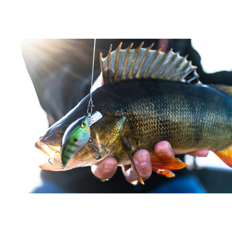 Yüzen Sahte Yem - Shallow Runner WXM CRKSR 53 F Bluegill