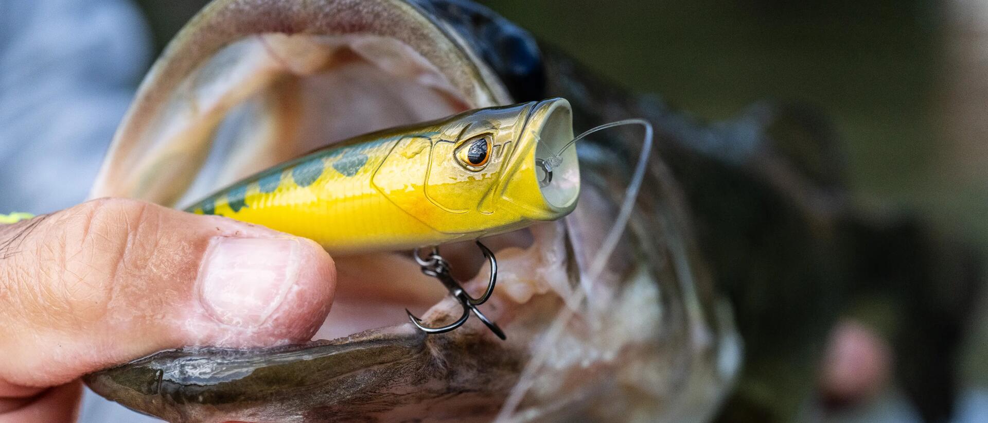 COMMENT UTILISER SON POISSON NAGEUR STICKBAIT ?