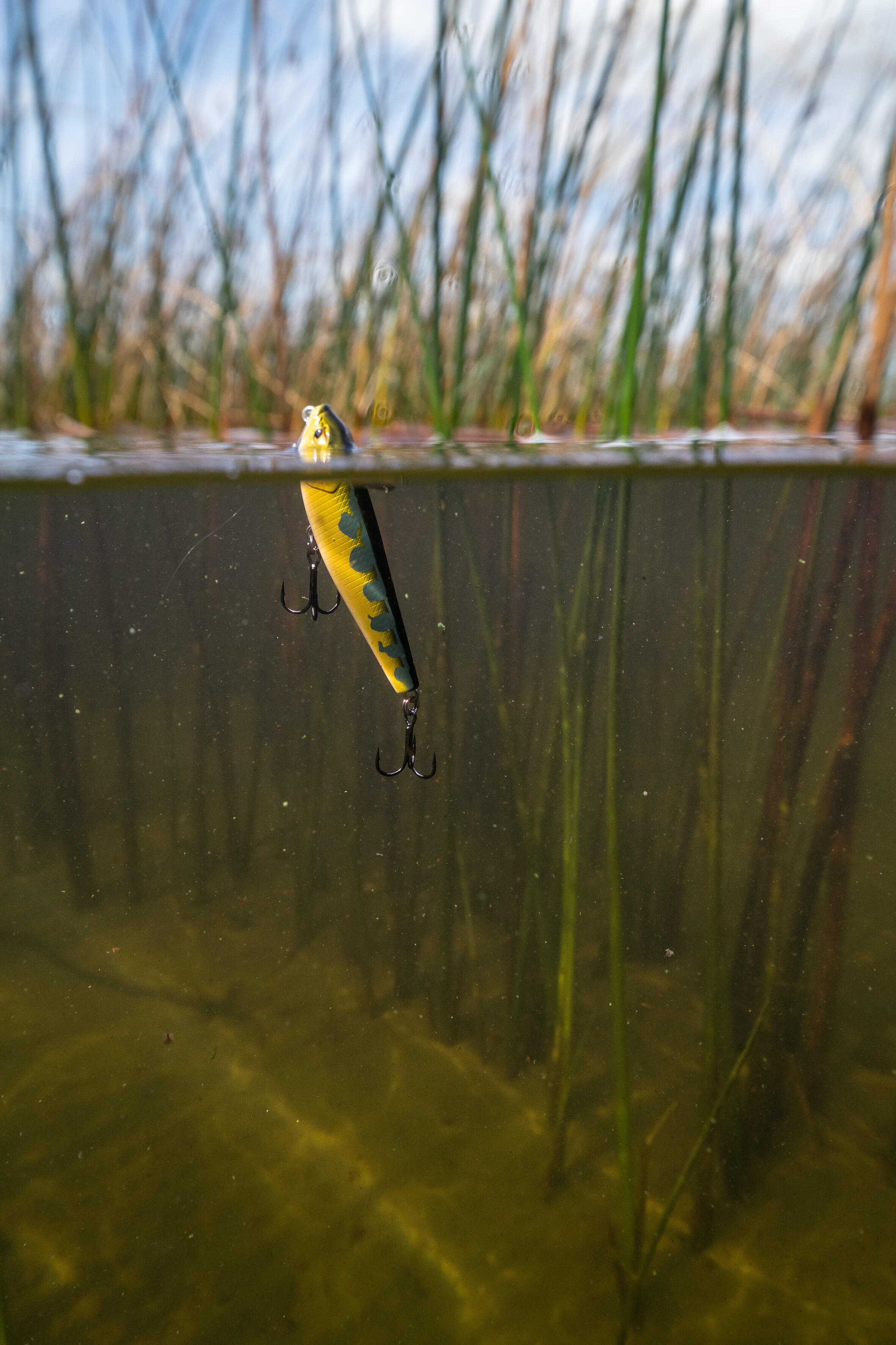 Wobbler Stickbait WXM STK 70 F Frosch 5/5