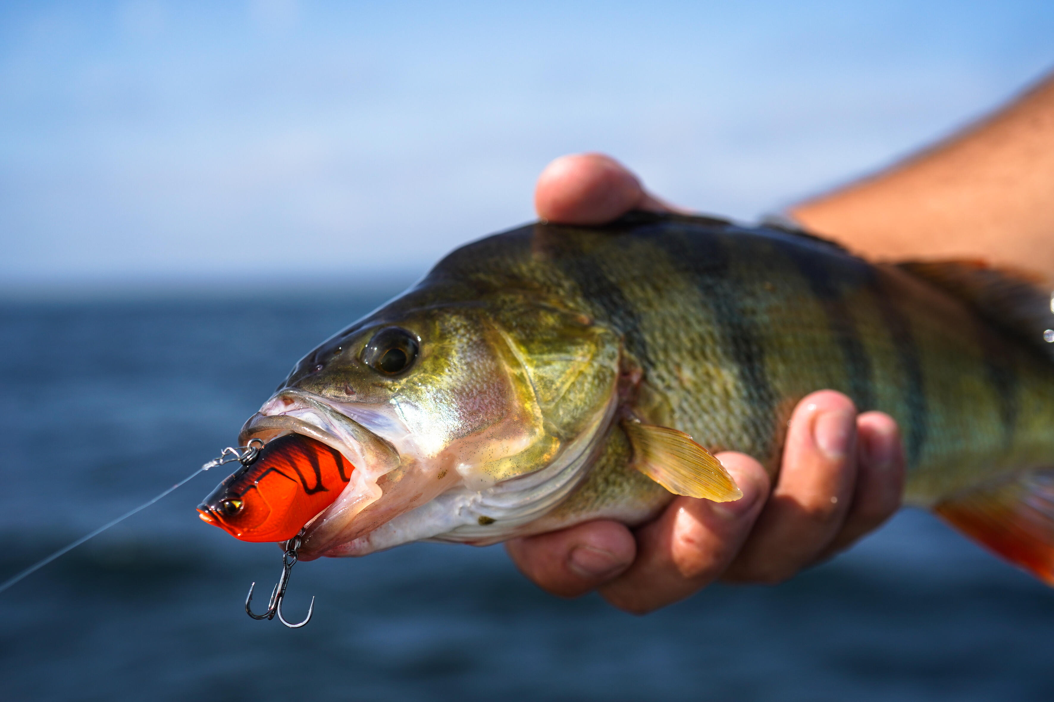 PLUG BAIT LIPLESS FISHING LURE VBN 50 S CRAYFISH - Fluo orange