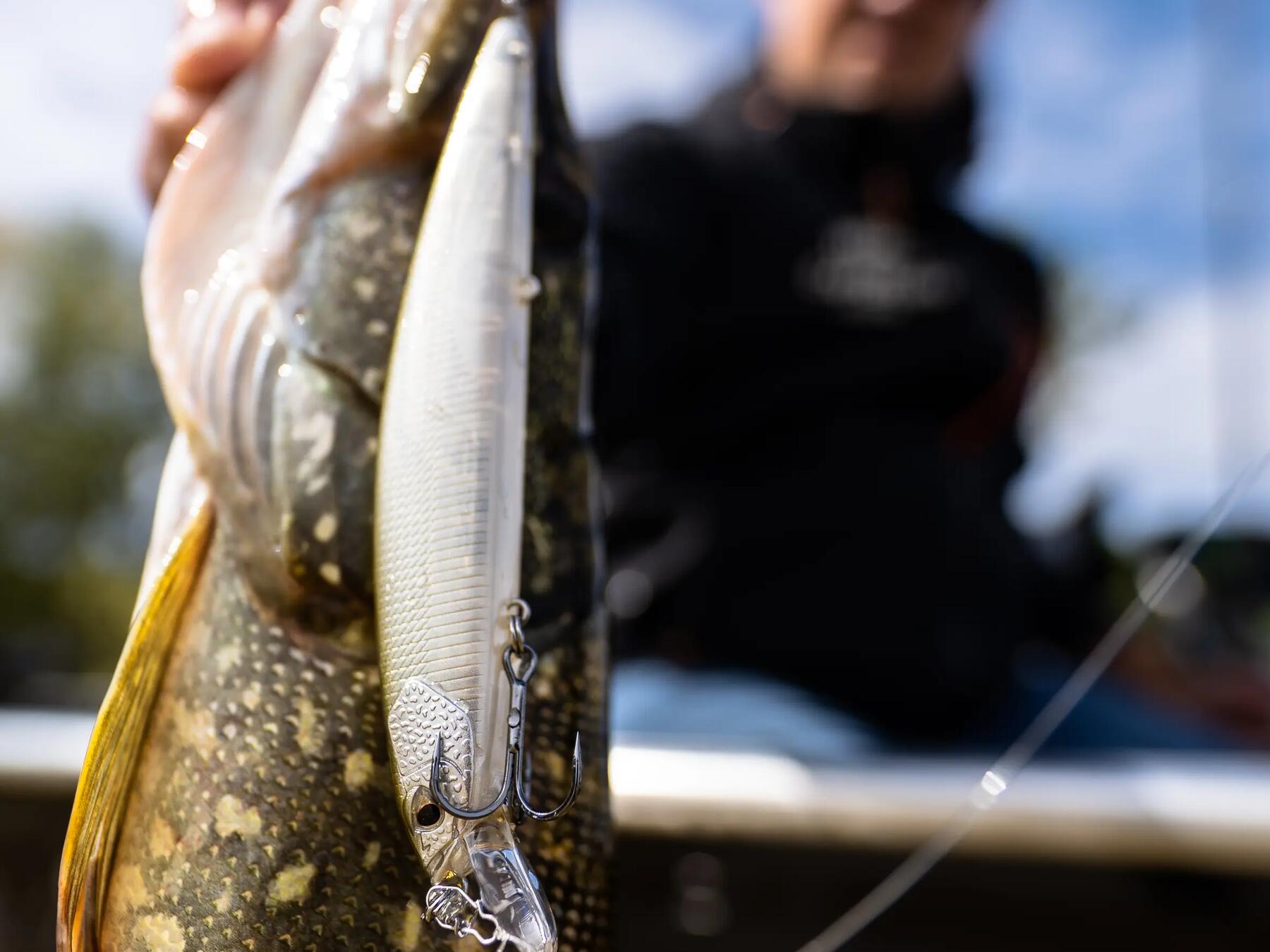 comment-utiliser-son-poisson-nageur-minnow