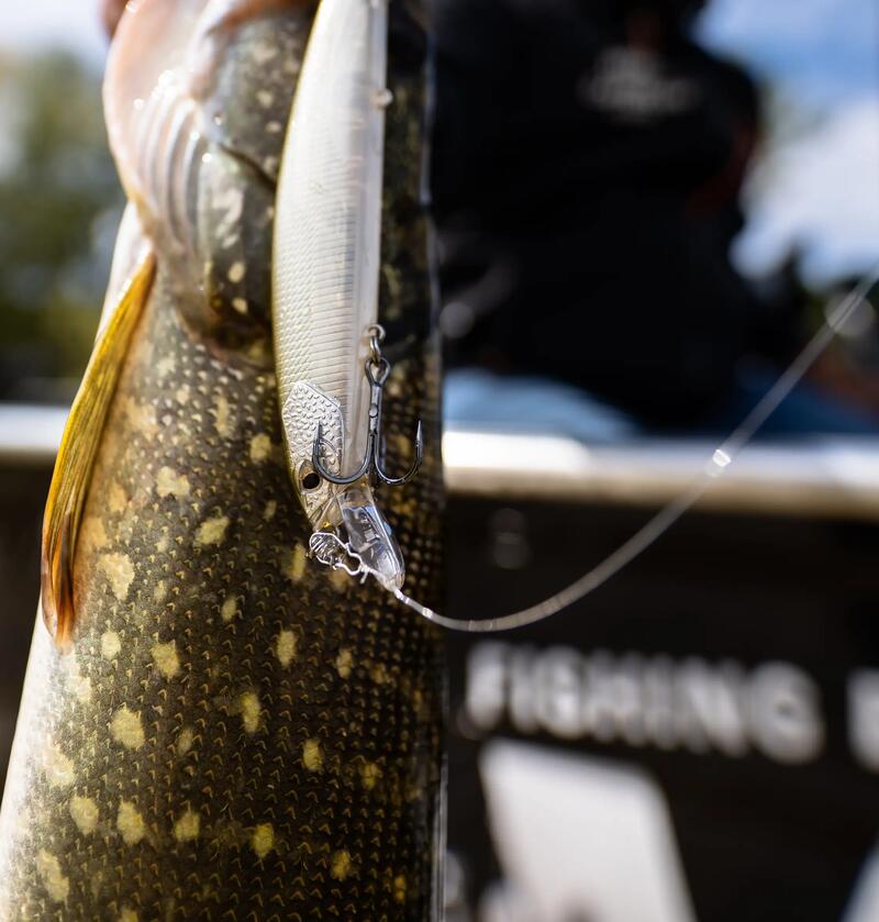 ou et quand utiliser son minnow suspending ?