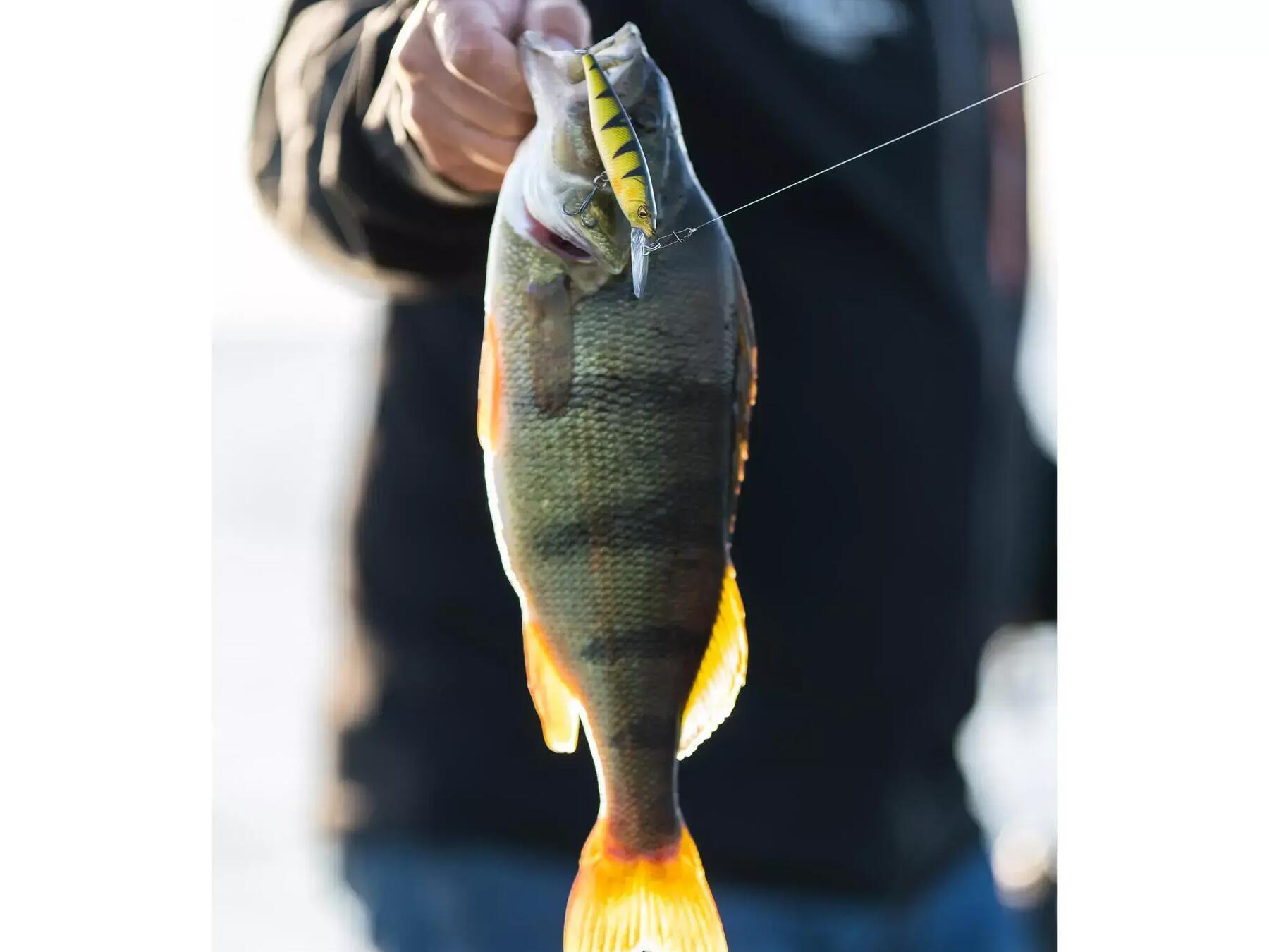 comment-utiliser-son-poisson-nageur-minnow
