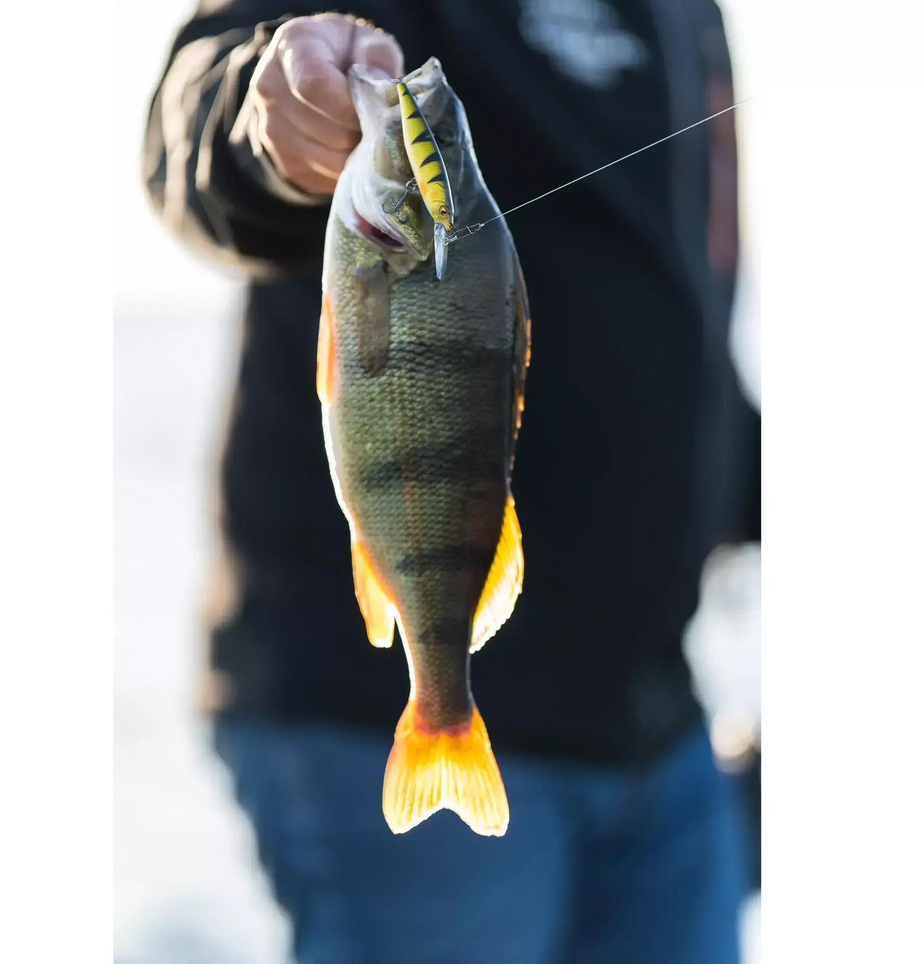 COMMENT UTILISER SON POISSON NAGEUR STICKBAIT ?