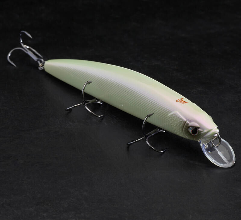 COMMENT UTILISER SON POISSON NAGEUR MINNOW