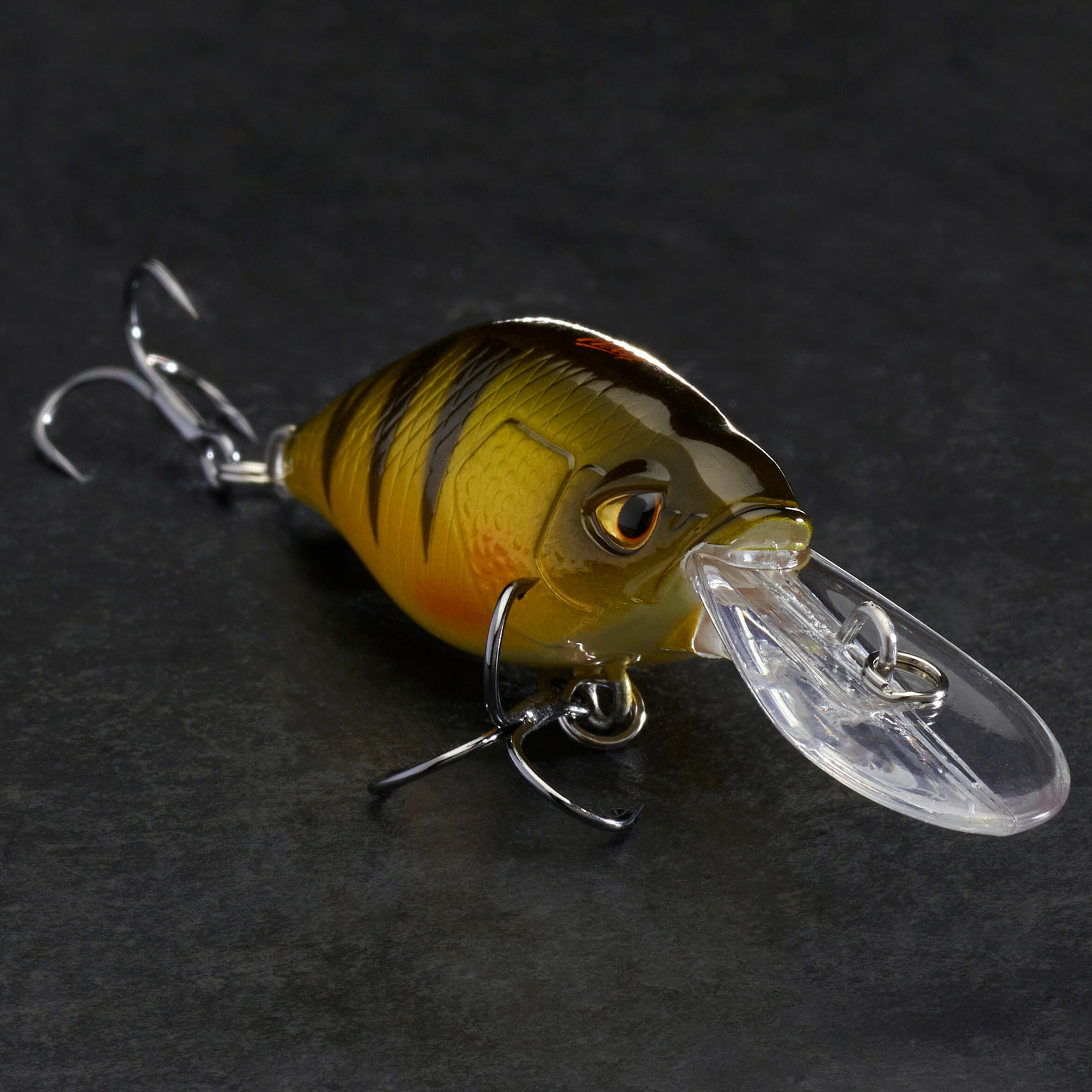 Wobbler Crankbait Deep Diving WXM CRKDD 40F Barsch  2/5