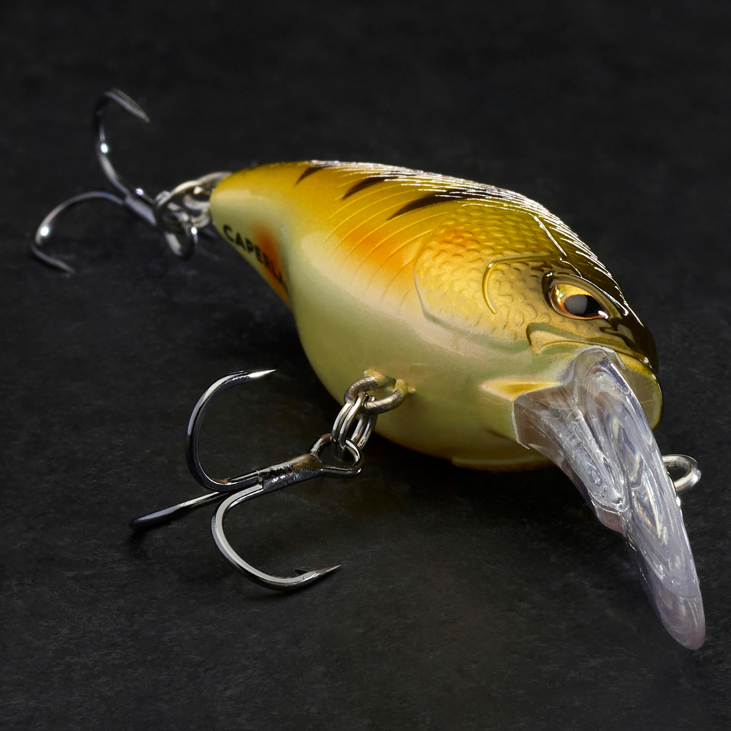 Wobbler Crankbait Deep Diving WXM CRKDD 40F Barsch  3/5