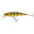 Wobler Jerkbait Minnow WXM MNW 100 SP Perche