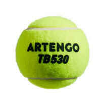 Tennis Balls TB530 4-Pack - Yellow