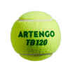 Tennisbälle