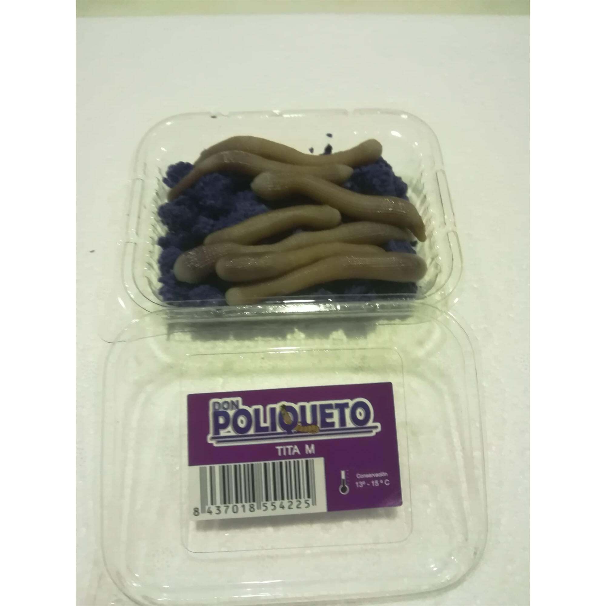 DON POLIQUETO picture