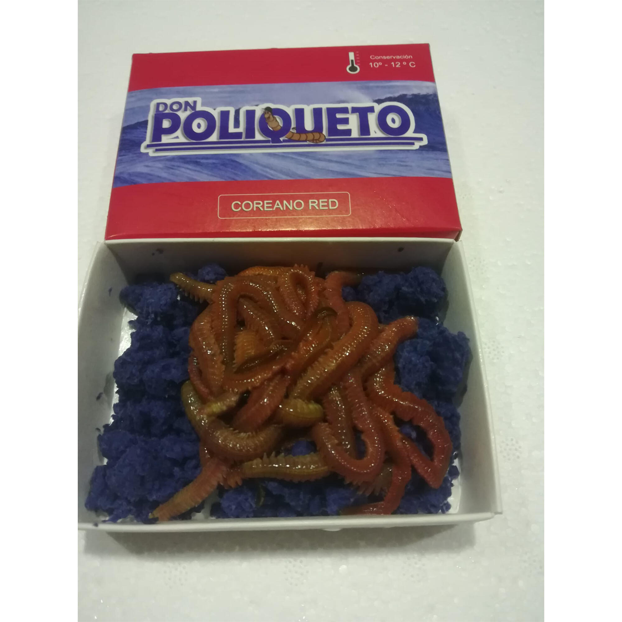 DON POLIQUETO picture