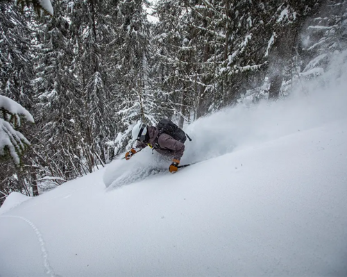 SKI FR 900 POW CHASER PLAT