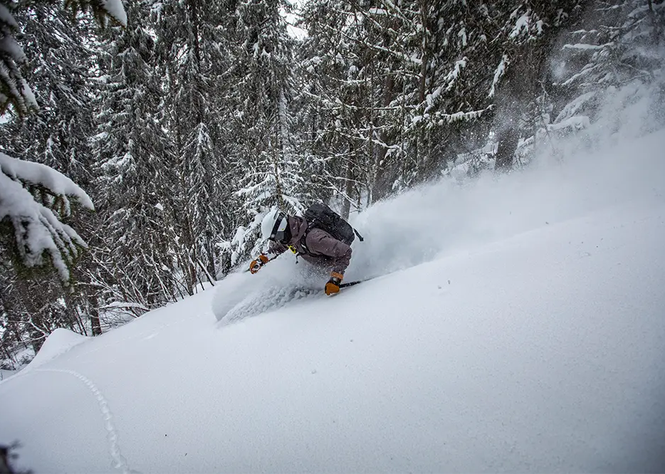 So funktioniert das Freestyle Ski- und Snowboardfahren: Finde alle wichtigen Infos hier!