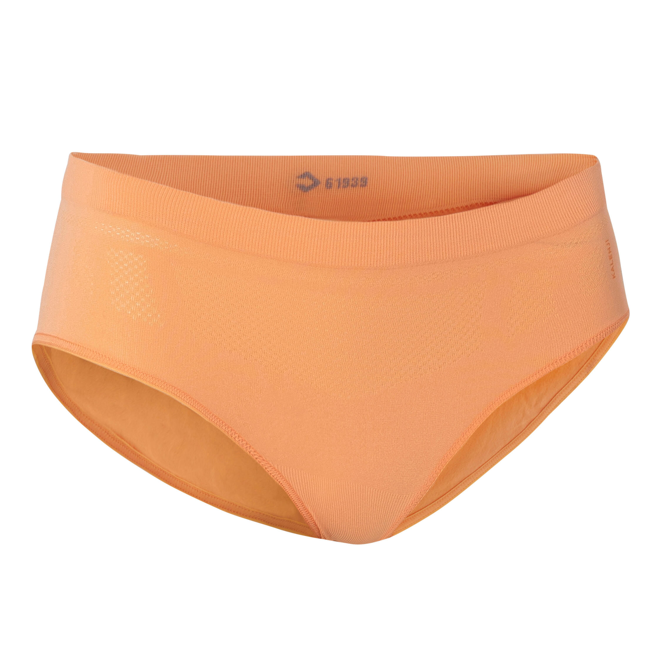 Briefs