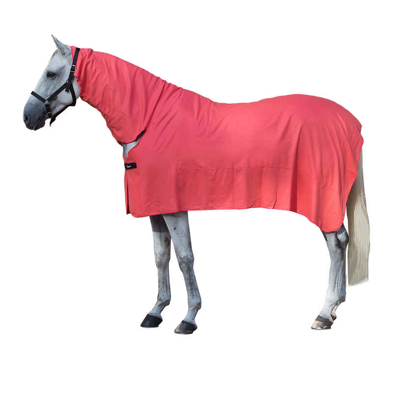 Full Neck Horse and Pony Drying Sheet - Coral
