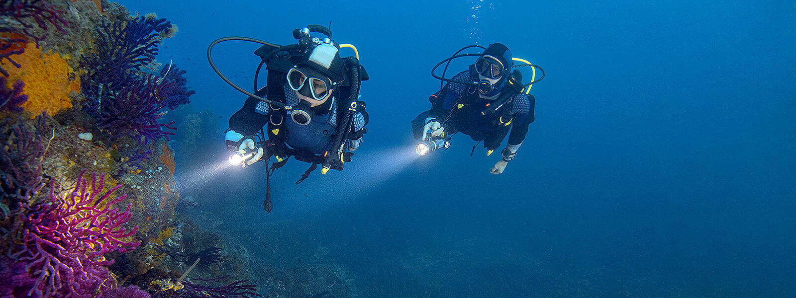 Aprende a bucear: todo lo que necesitas saber