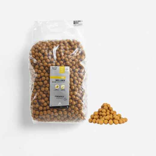 
      Boilies na lov kapra Wellmix 20 mm 10 kg Ananás
  