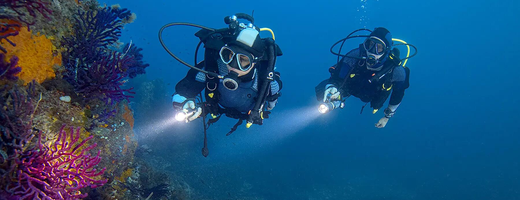 subea christmas gift ideas scuba adopt a coral
