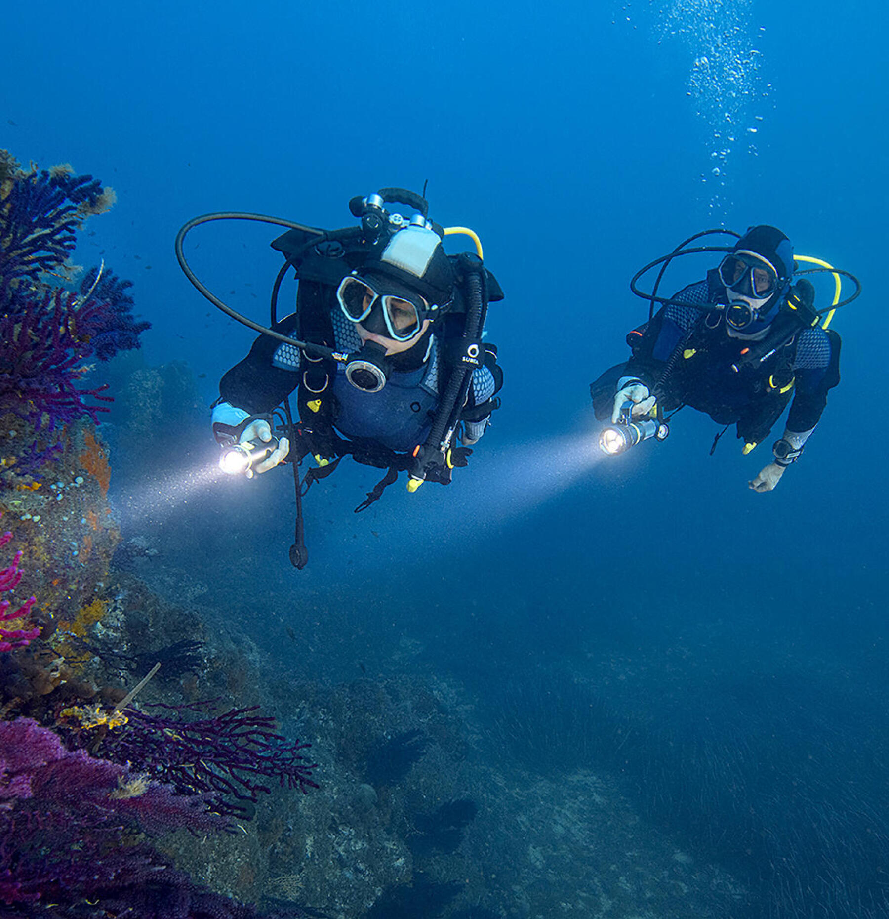 Niveau 2 de plongée sous-marine, devenir un plongeur autonome