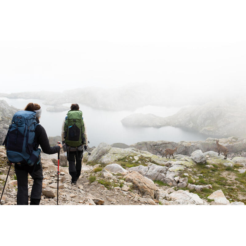 1 Wanderstock Trekking präzise Schnellverstellung Bergwandern - MT500 rot