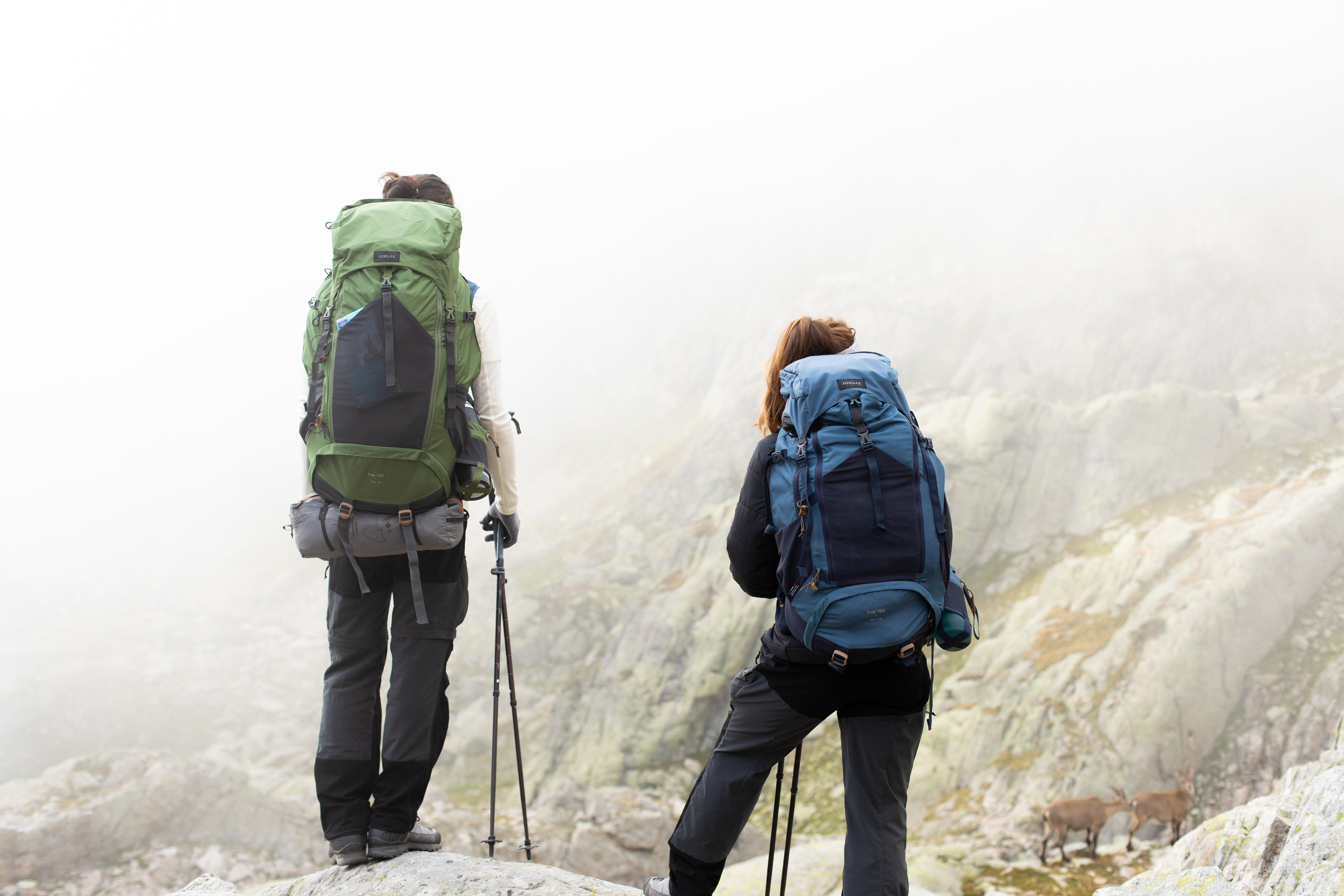 Women's Hiking Pants - MT 500 Grey