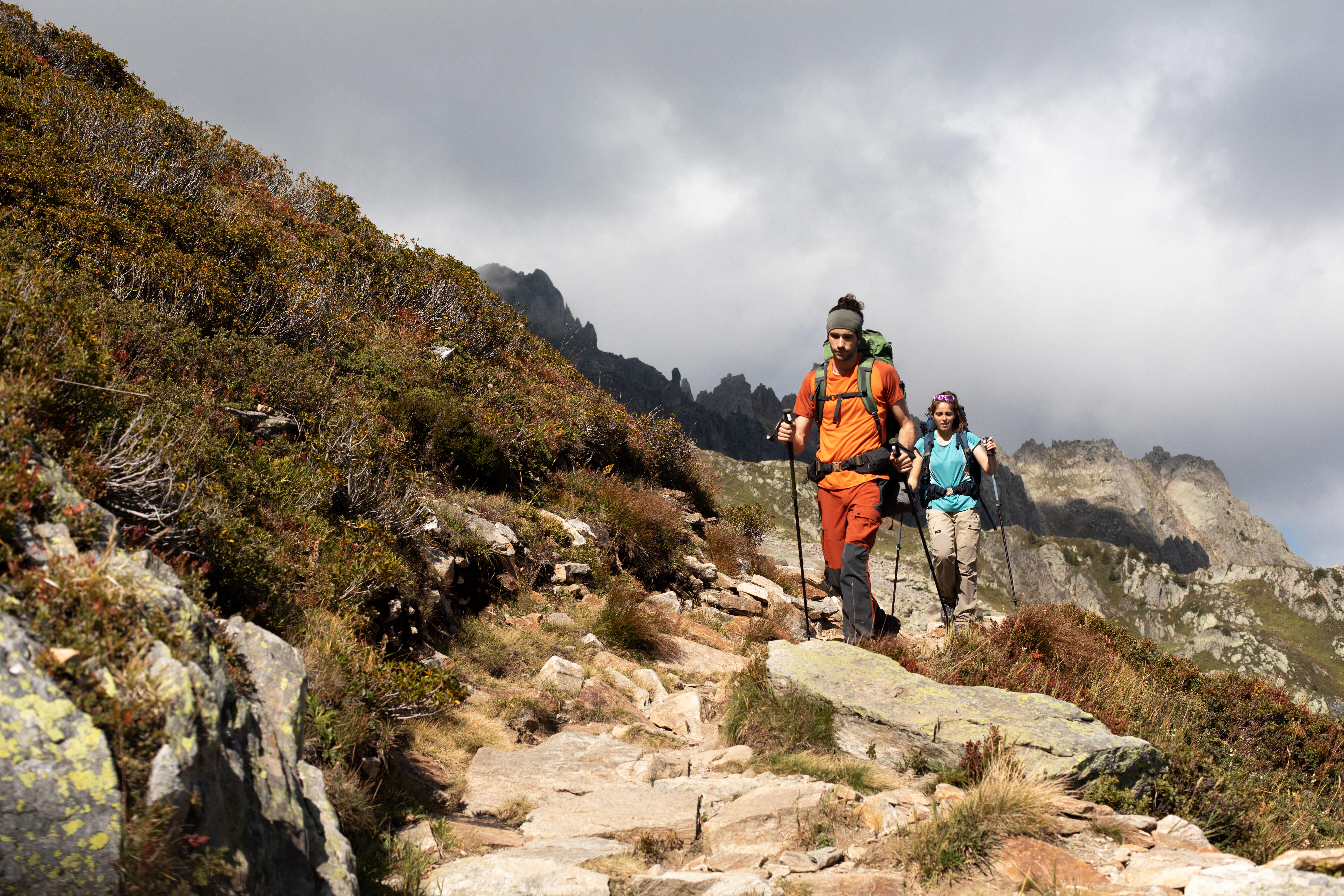 Adjustable Hiking Pole - MT 500 Green - FORCLAZ
