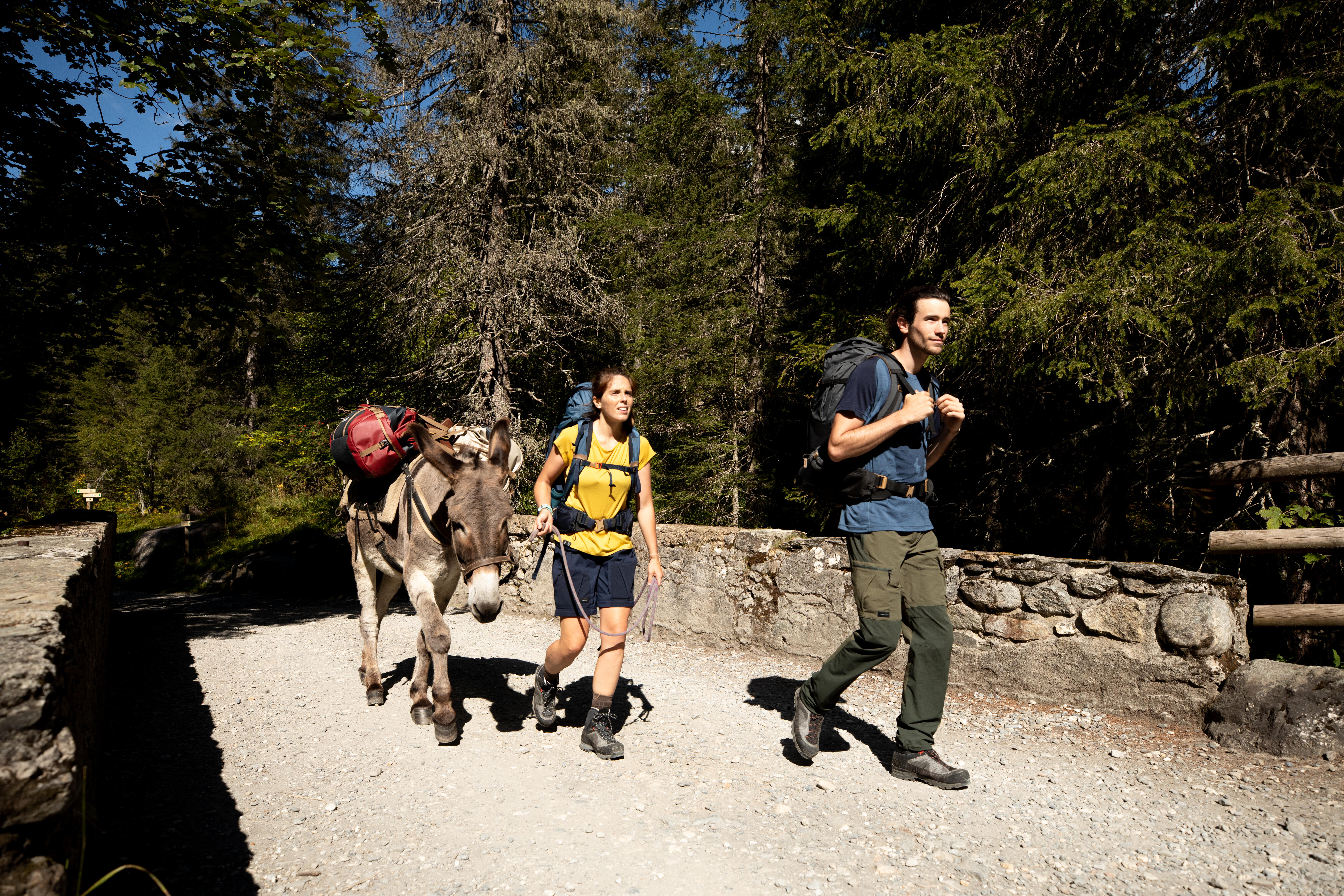 Hiking Bag 40 L to 60 L, Duffel 500 Extend - SIMOND