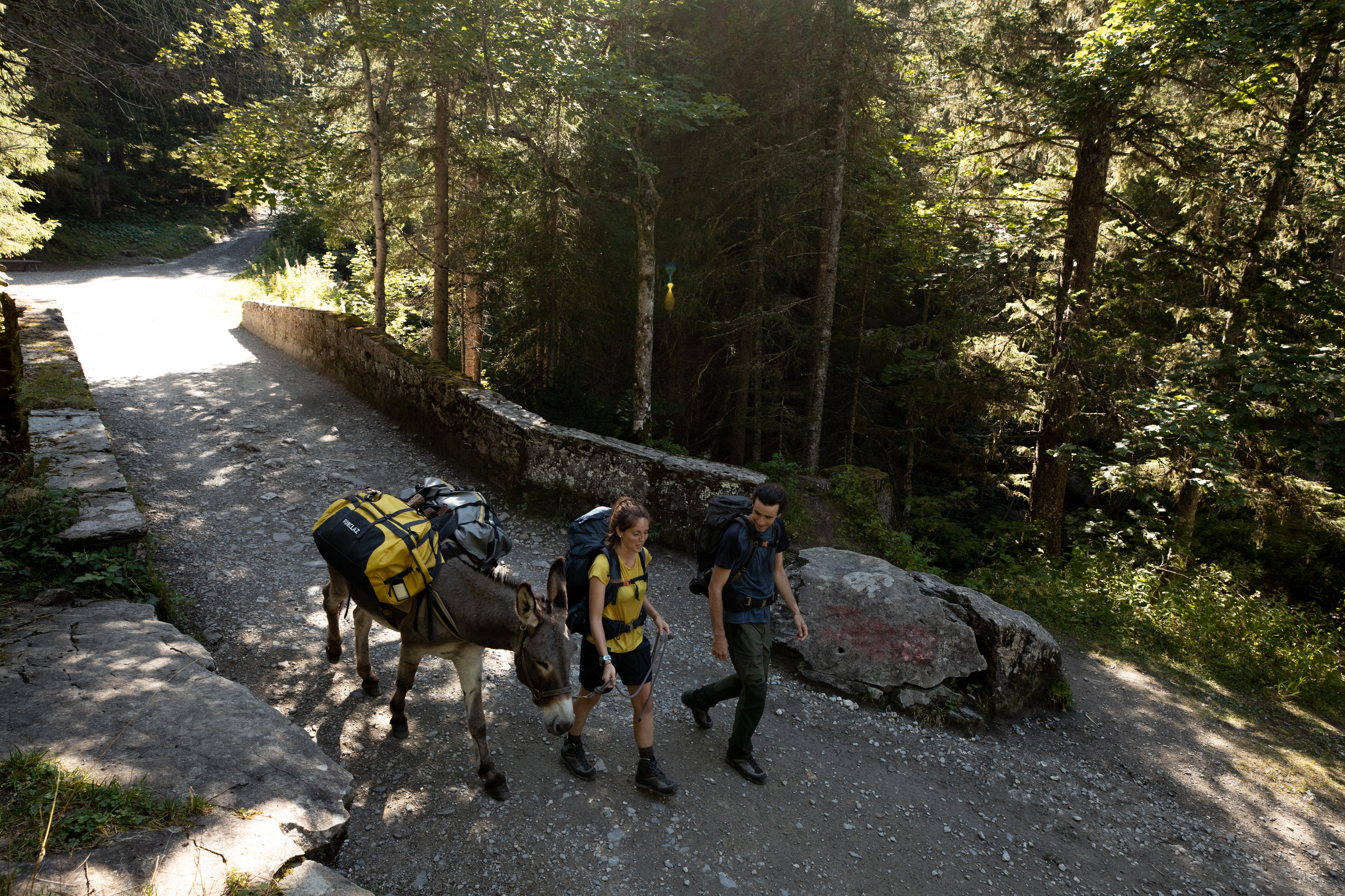 Hiking Bag 80 L to 120 L – 500 Extend - FORCLAZ
