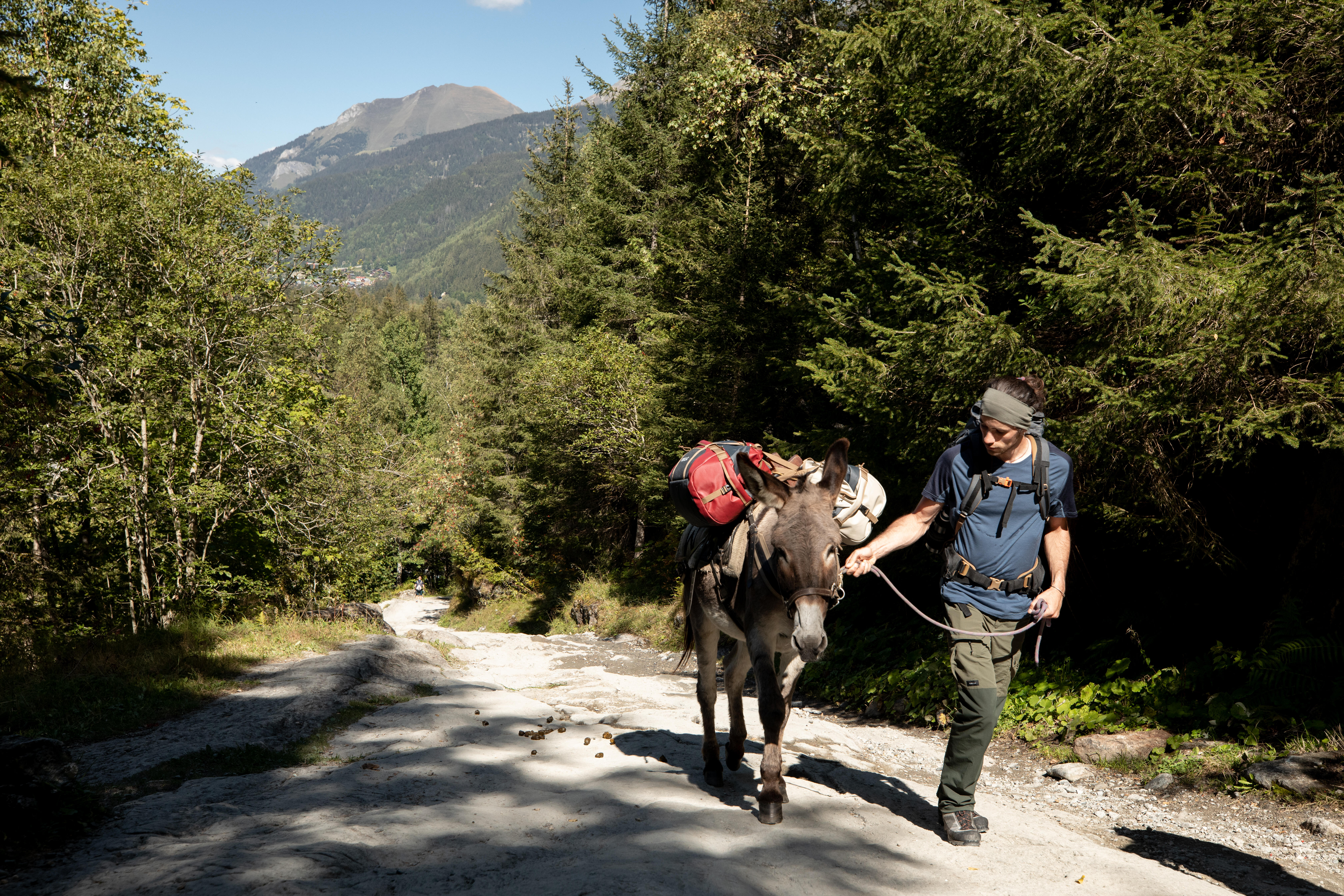 Sac de randonnée de 40-60 L – 500 - FORCLAZ