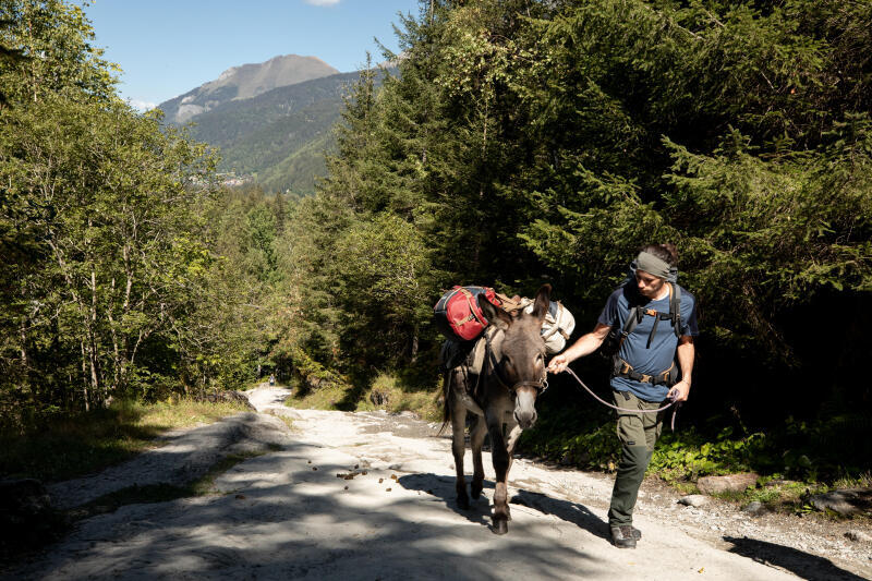 Bandana trekkingowa Forclaz MT500 merino