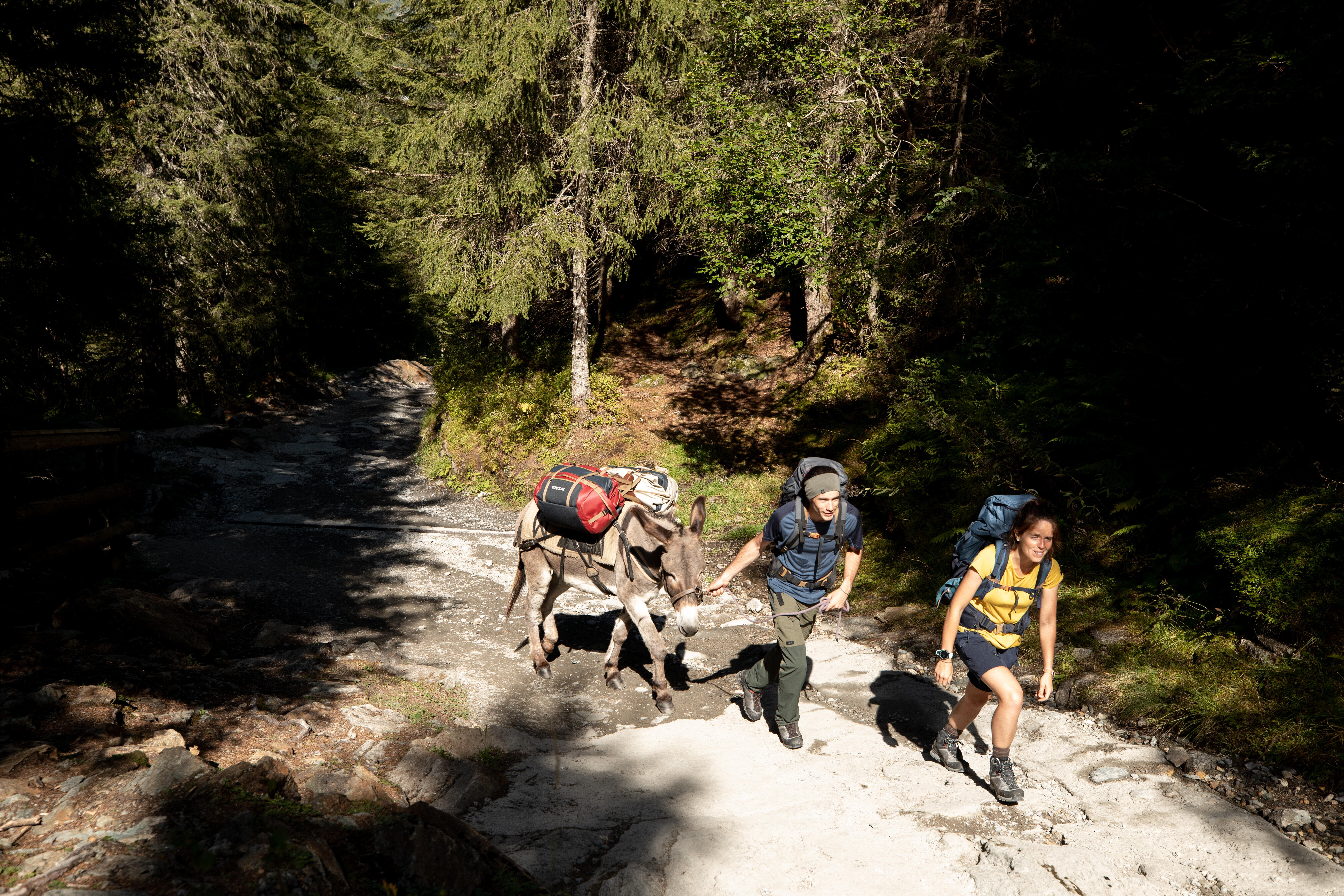 Hiking Duffel Bag 40 L to 60 L - 500 Extend - FORCLAZ