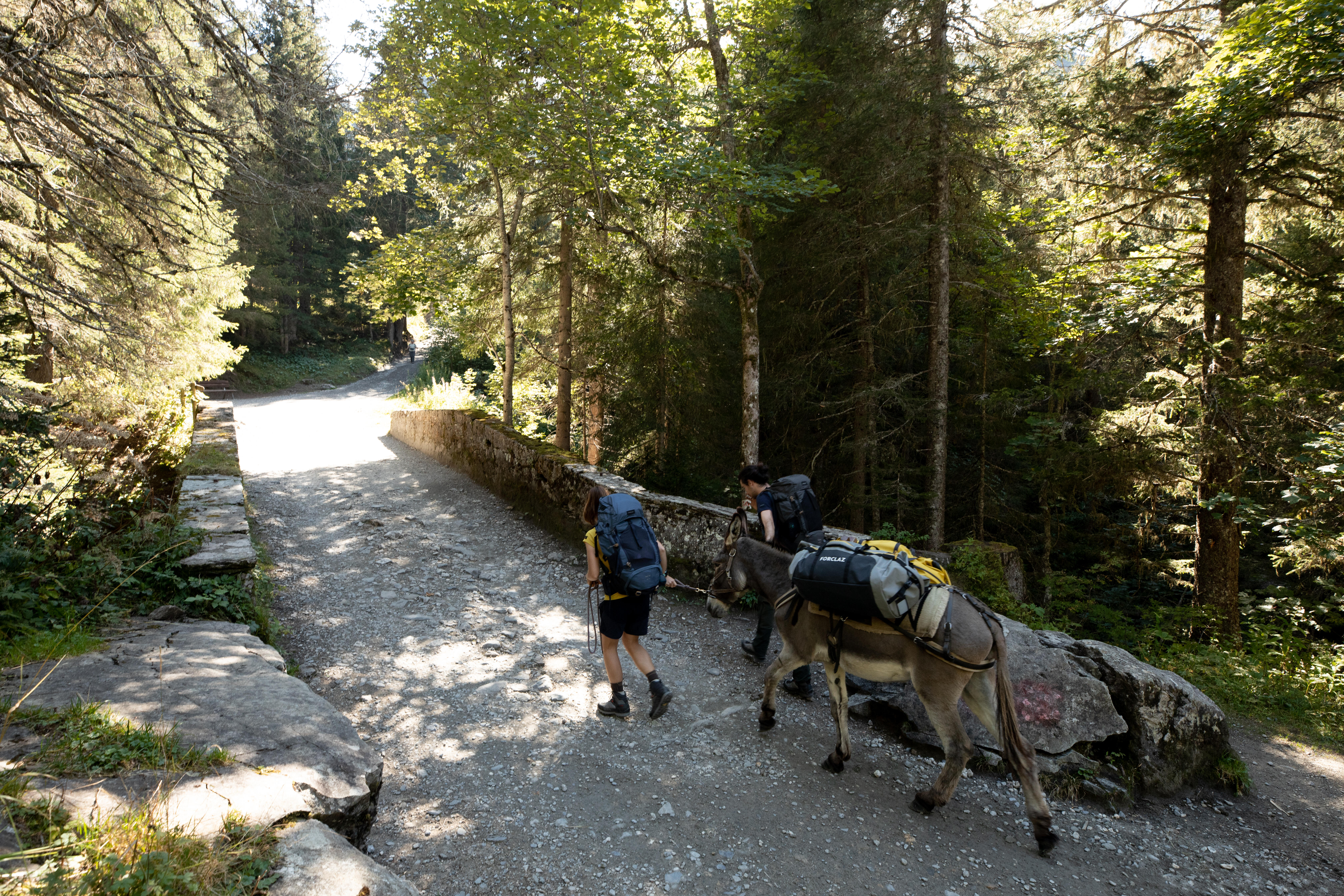 Hiking Bag 80 L to 120 L – 500 Extend - FORCLAZ