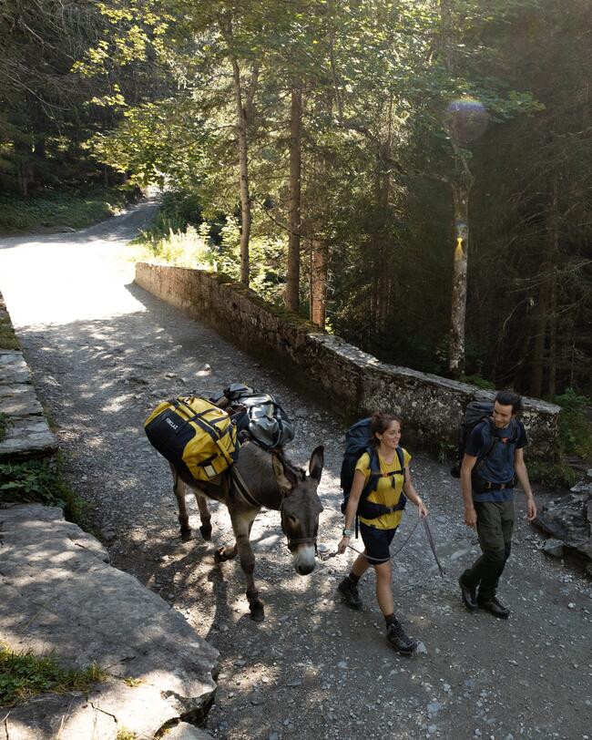 Trekking-Tragetasche 80 l bis 120 l – Duffel 500 Extend