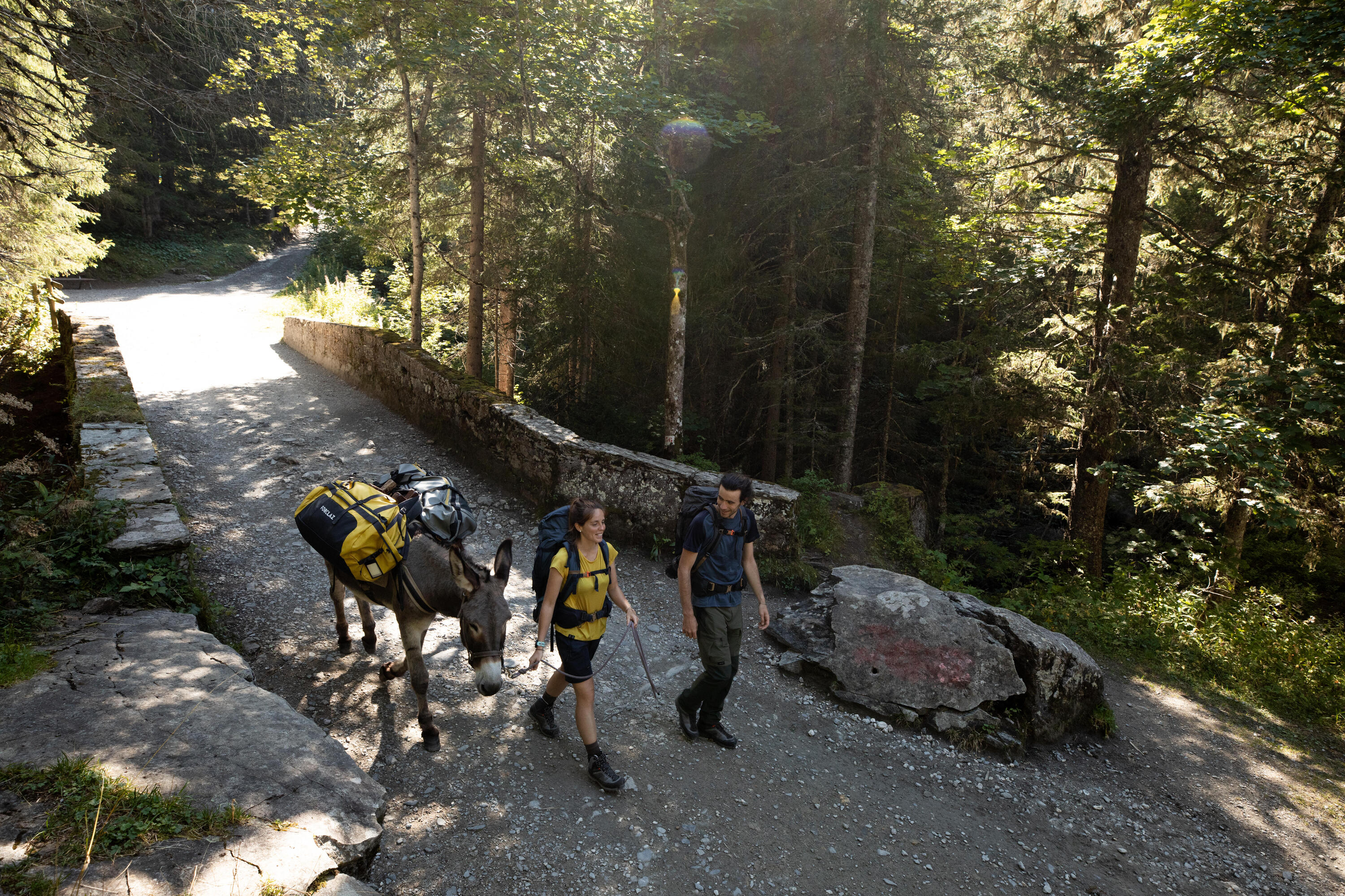 Transporttasche Trekking - Duffel 500 Extend - 80 L bis 120 L 11/15