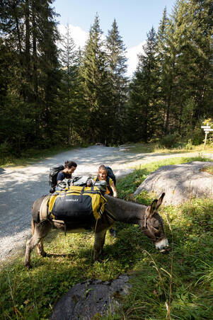 Voyage Extend 80 to 120 Litre Trekking Carry Bag - Yellow