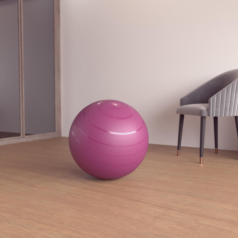 Ballons Pilates Decathlon Ballons Pilates Decathlon