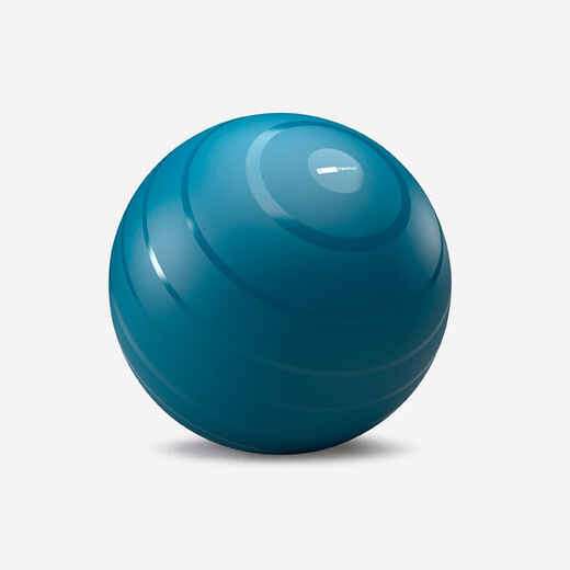 
      Gymnastická lopta veľkosť 1/55 cm bordová
  