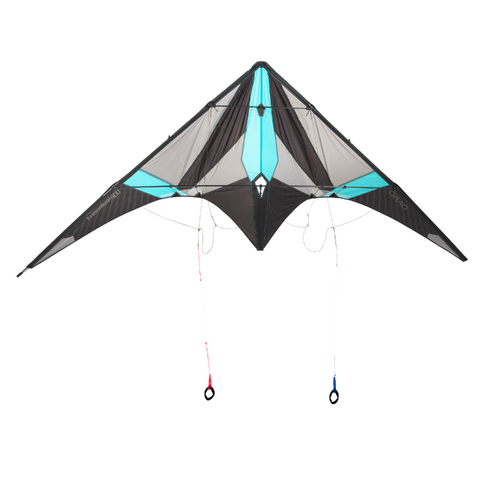 ✿BrenLux® Vent cerf-volant adultes - Cerf-volant avec 100 mètres de corde  GRATUITS 