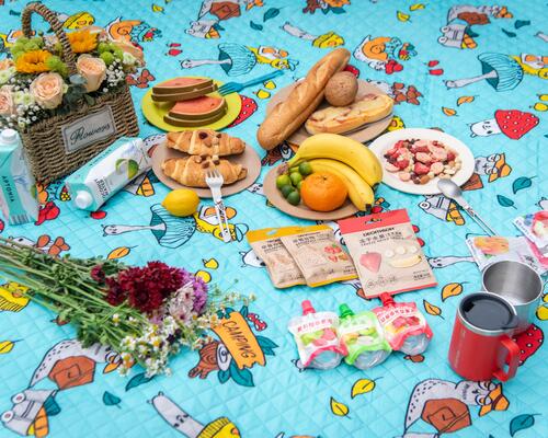 How to Choose Picnic Mats